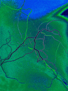 klikni pro zv�t�en�